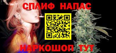 твердый Будённовск