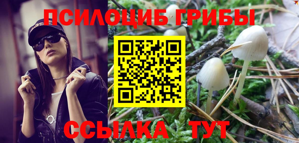 Галлюциногенные грибы мухоморы  Вход с VPN  Ростов Великий 